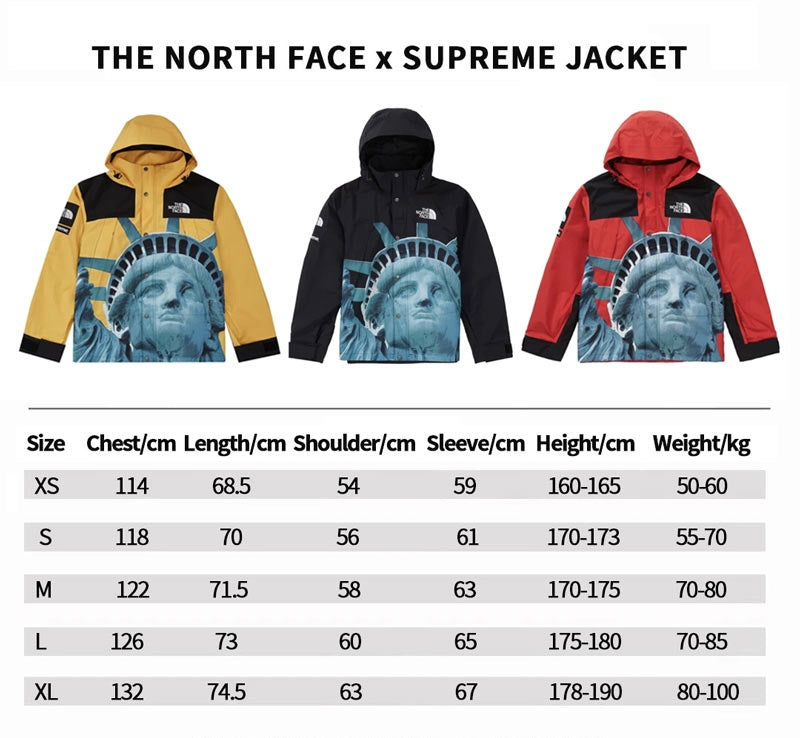 Supreme x The North Face Statue Of Liberty Mountain Jacket