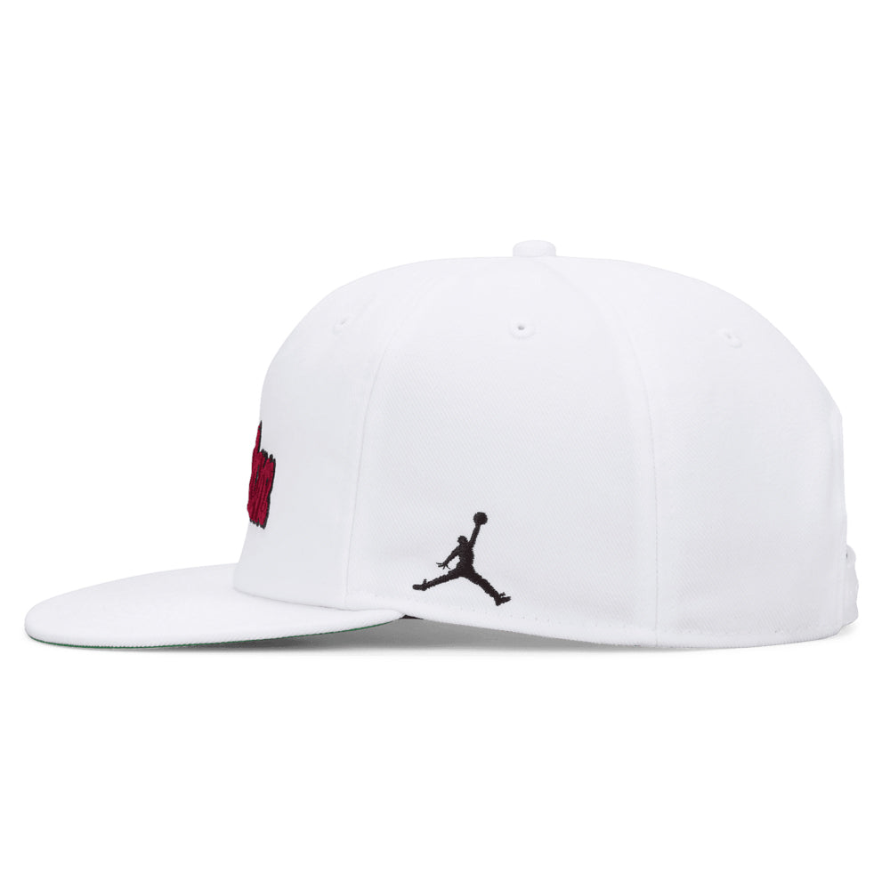 Air Jordan Pro Structured Hat