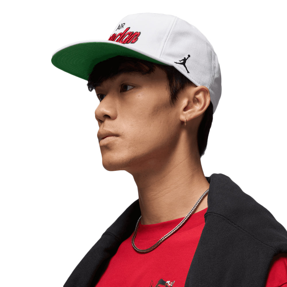 Air Jordan Pro Structured Hat