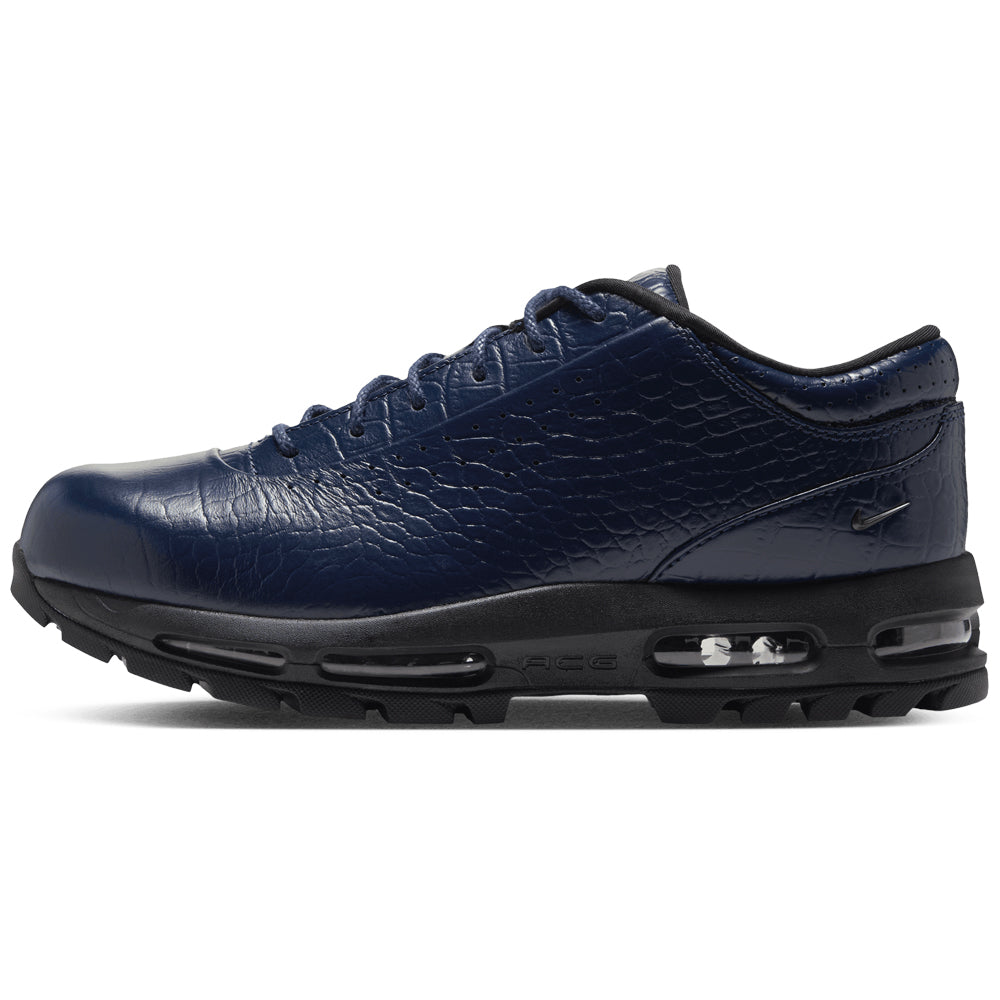 Nike Air Max Goadome Low