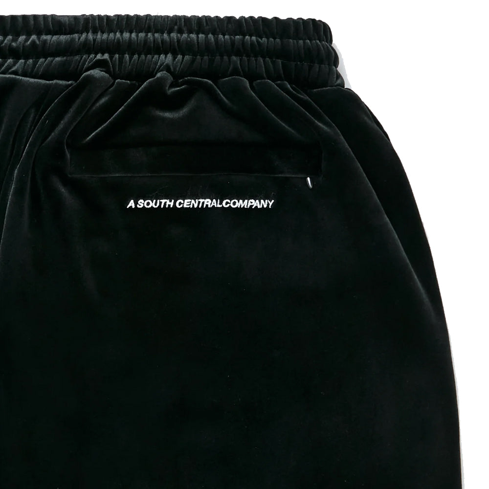 Velour Script Logo Track Pant